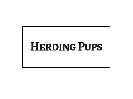 AboutMe banner for @herding